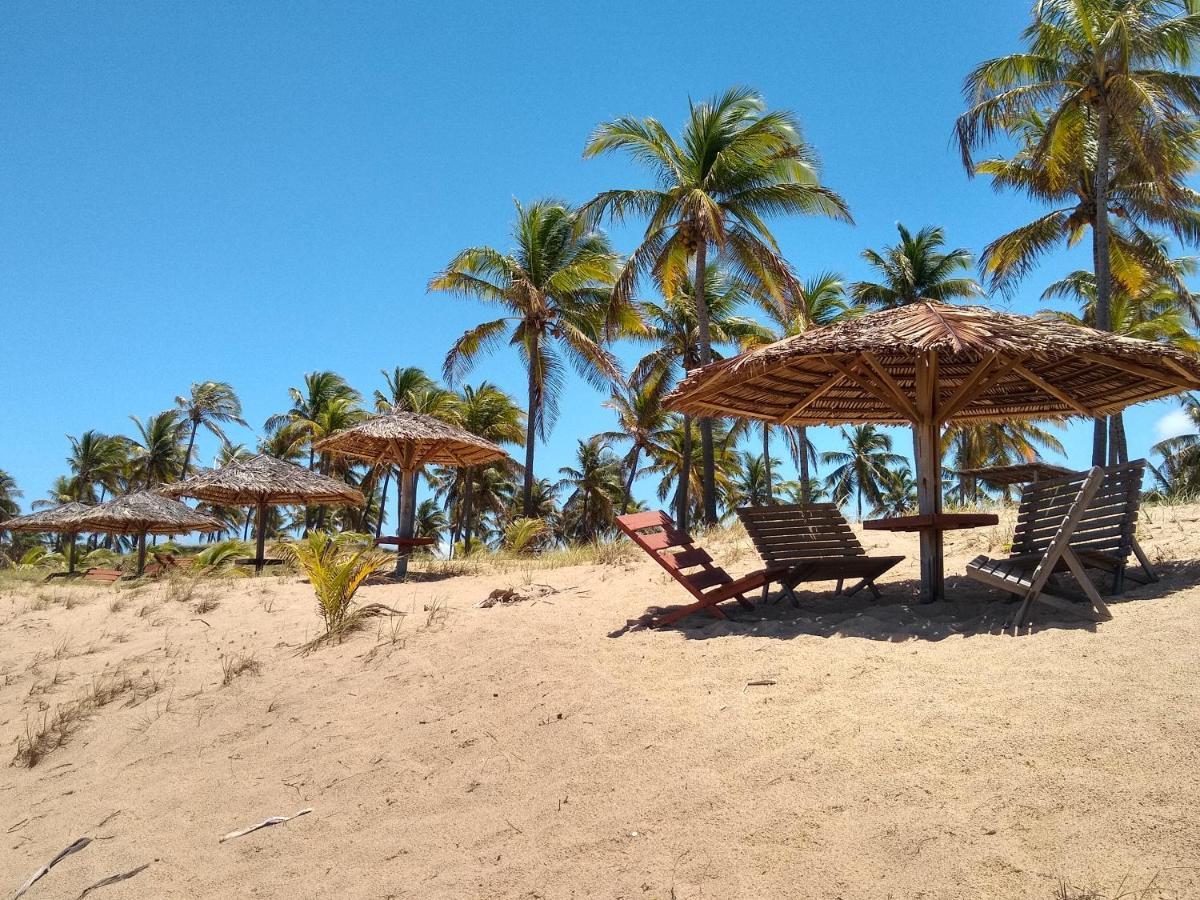 Coco Conde (Bahia)