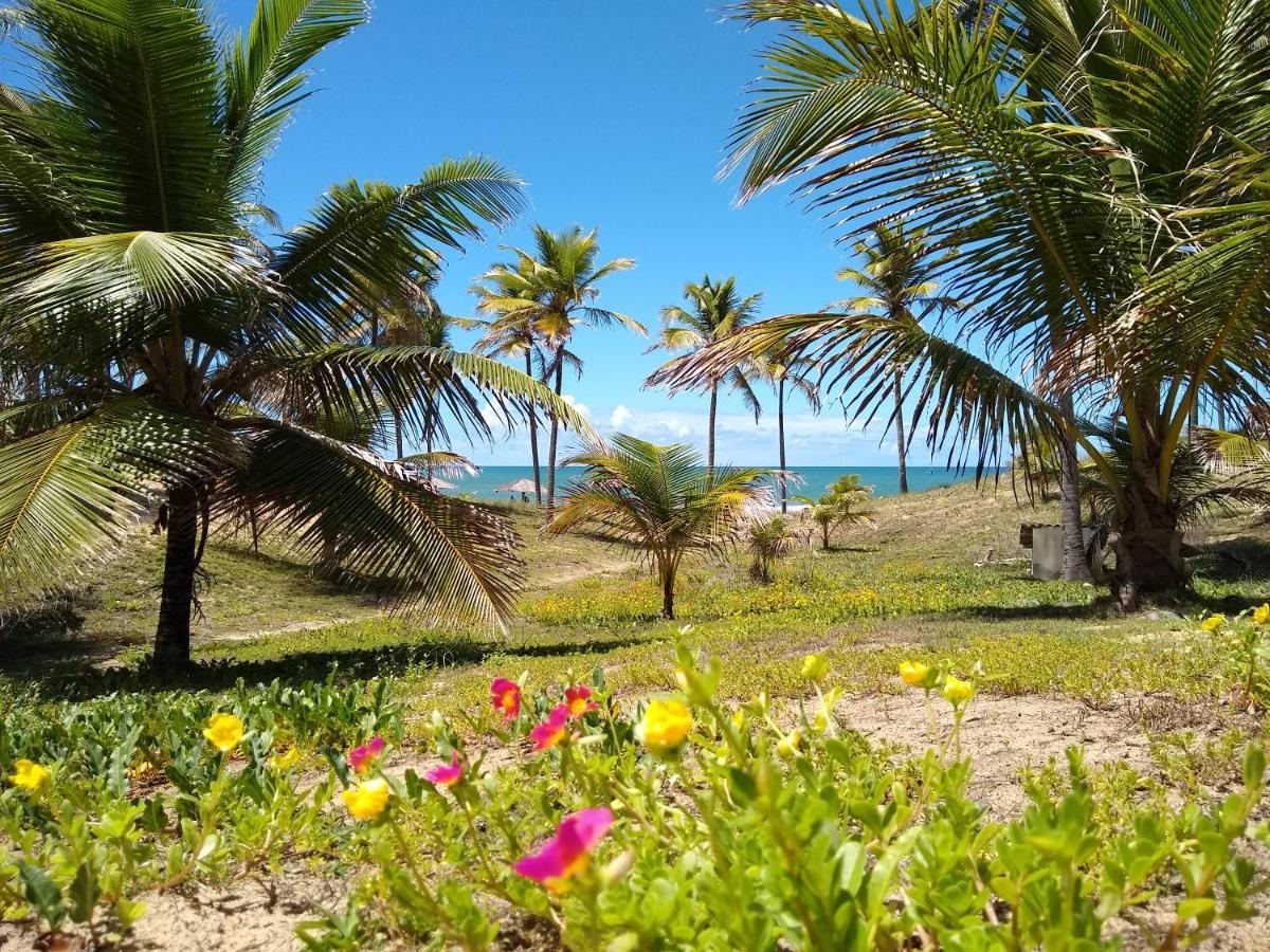Coco Conde (Bahia)